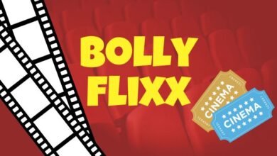 bollyflix movie